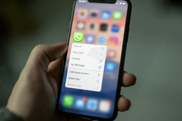 Image depicting the app Whatsapp