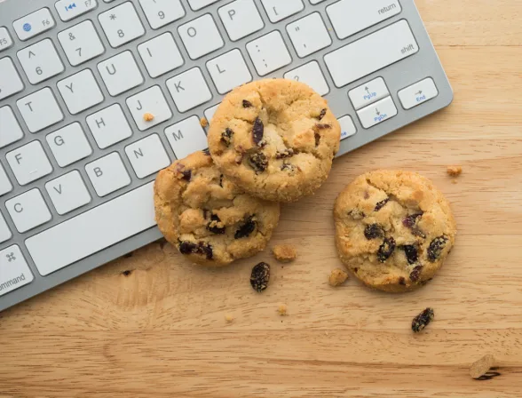 Cookie Scam Safety