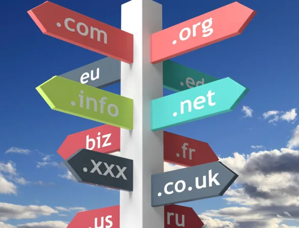 New Top-Level Domain Extension Security
