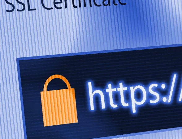 Inspection Power: Shielding Yourself from Phishing URLs