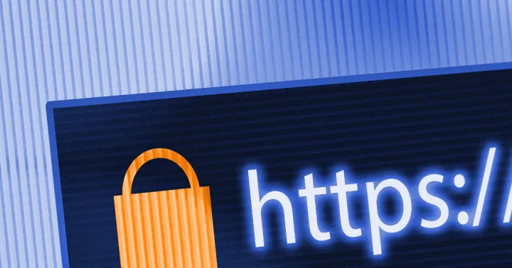 Inspection Power: Shielding Yourself from Phishing URLs
