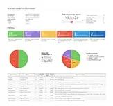 Reports screenshot - Executive Report Test Summary